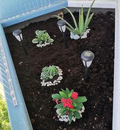 Tuerkizgolf * San Miguel de Abona