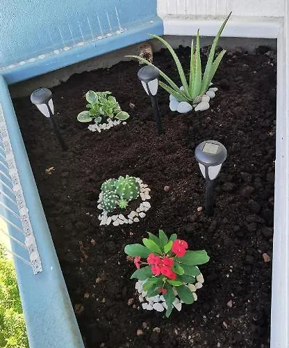 Tuerkizgolf * San Miguel de Abona